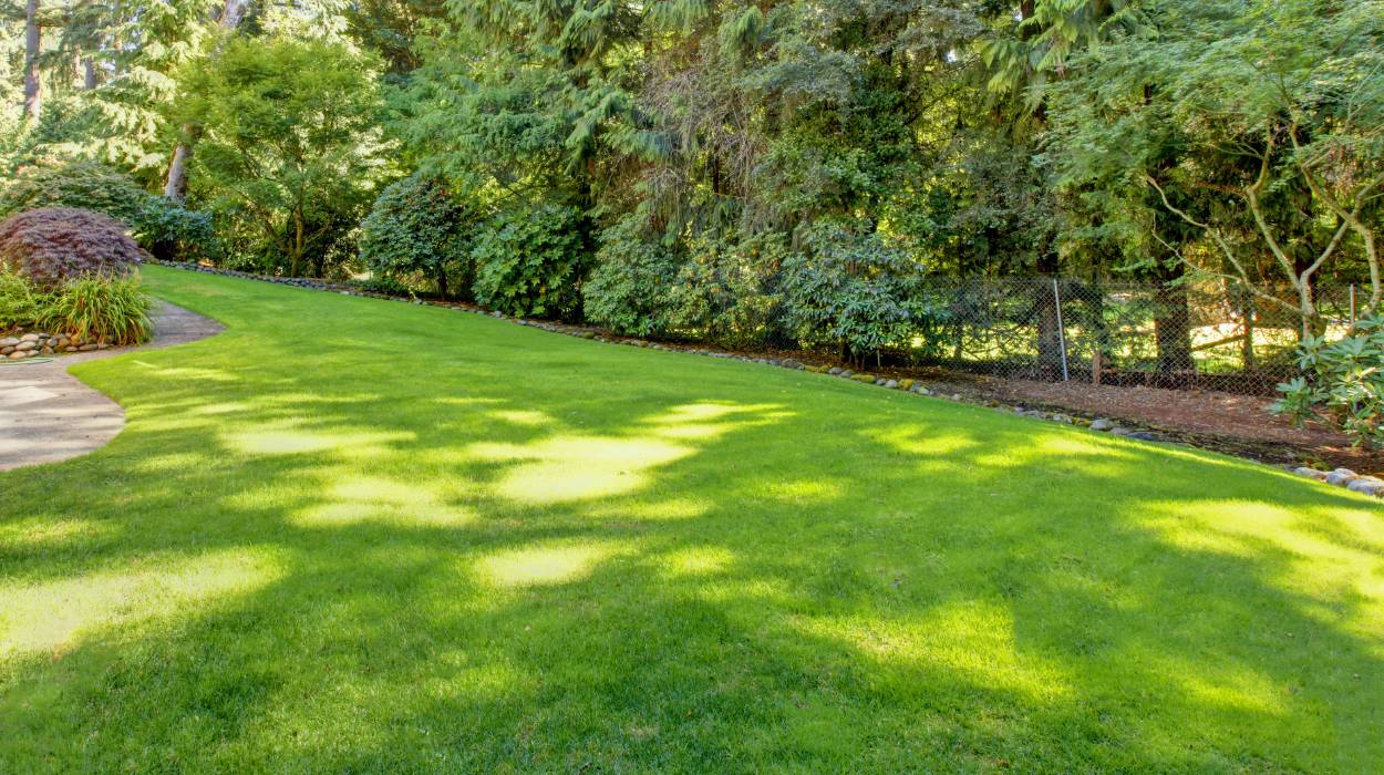 Czy nasiona trawy mogą przemarznąć