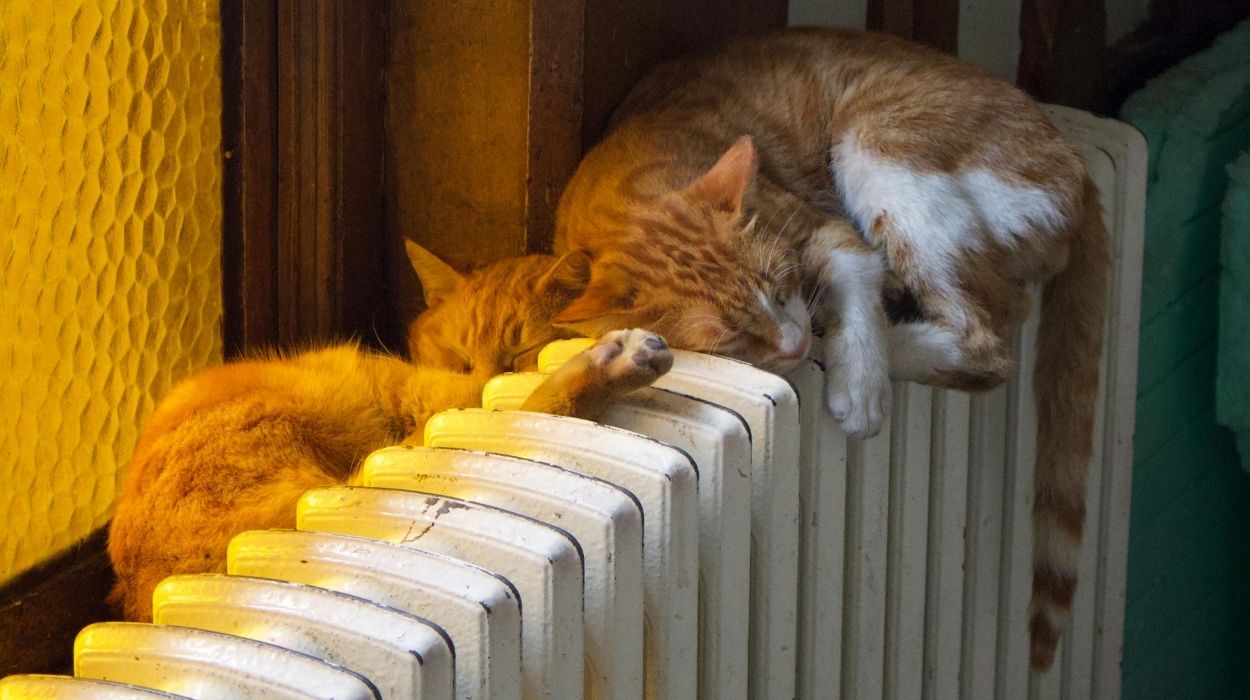 Zapowietrzony kaloryfer