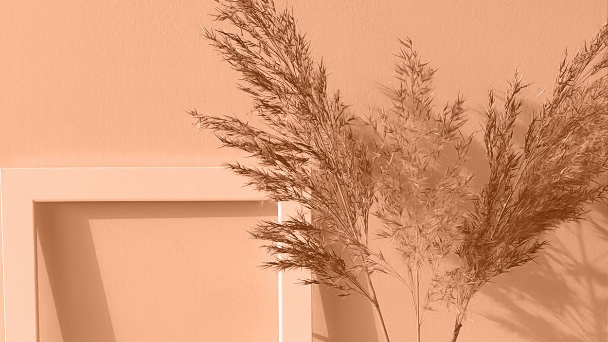 Kolor roku 2024 wg Pantone - peach fuzz